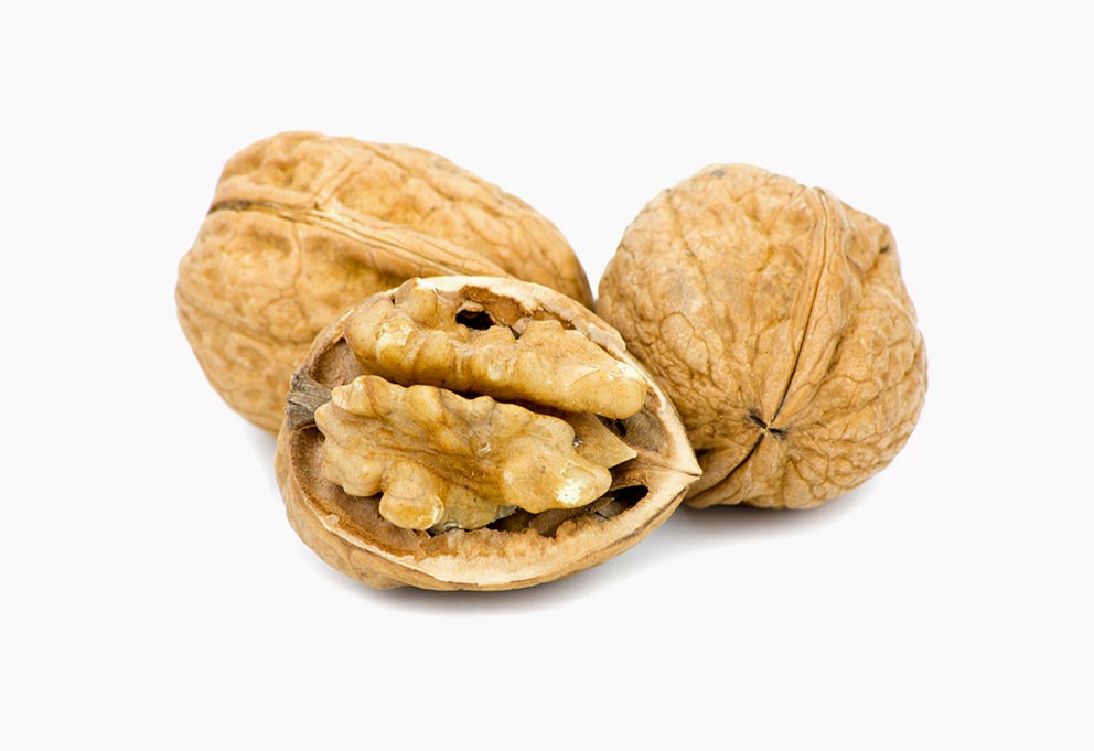 Variété de noix : La Lara