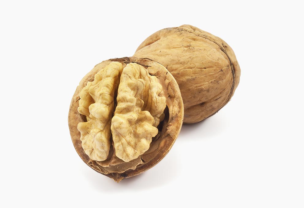 Variété de noix : La Marbot